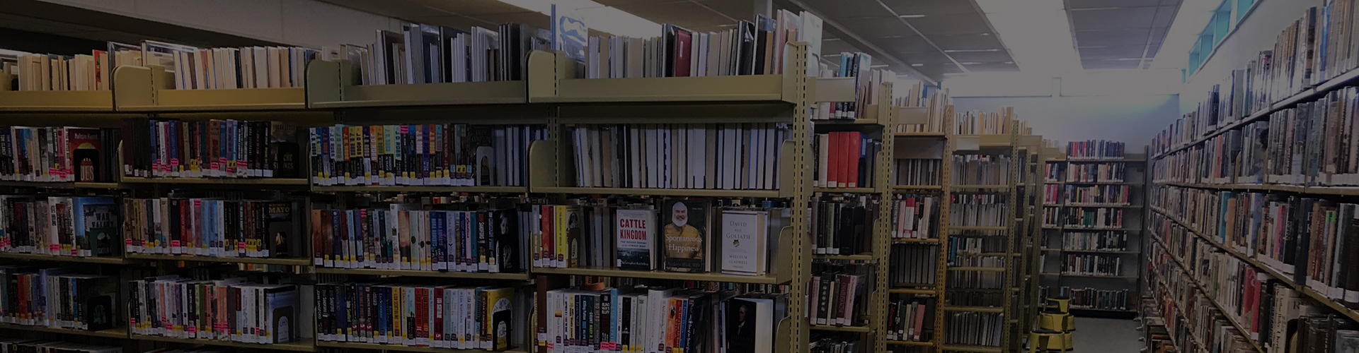 about-header