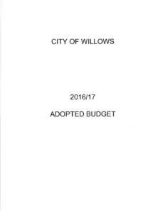 Budget-2016-2017