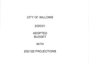 Budget-2020-2021-Adopted_2021-07-28-035626