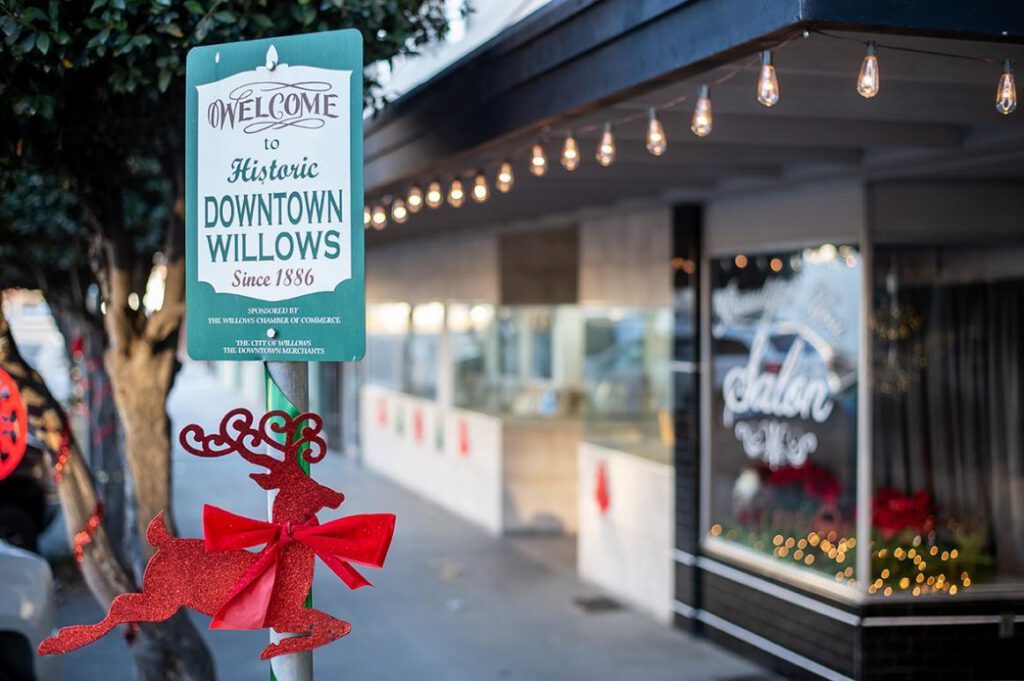 downtown Willows