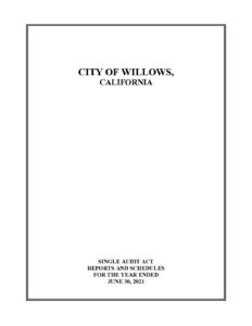 Financial-Statement-Single-Audit-06-30-2021