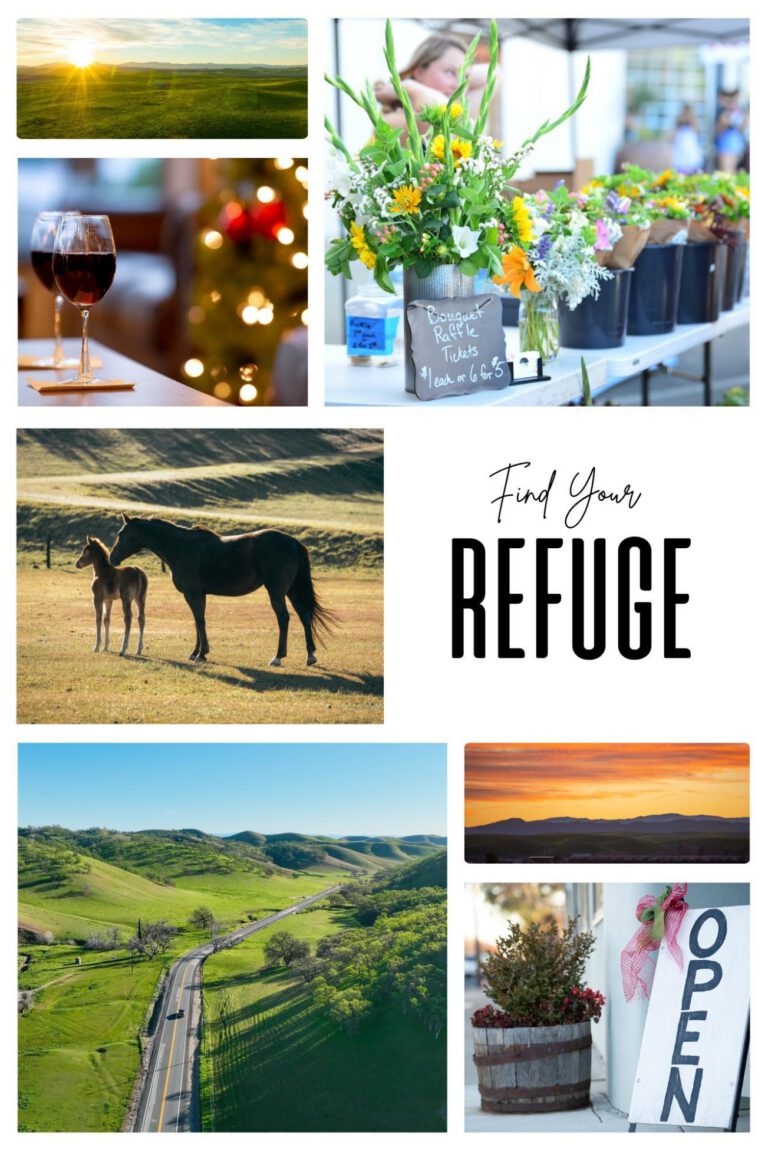 image collage of sunrise in a green field, wine glasses, flowers on display, horses in filed, two lane road in green rolling hills, mountain range with orange sky, open sign with wine barrel planter. Find Your Refuge