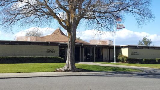 Willows City Hall & Public Library w/ a tree in front