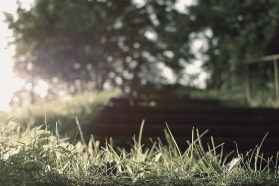 Earth Day Clean-Up April 22, 2026