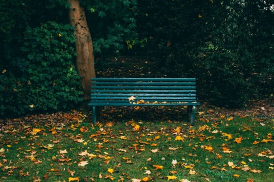 RFQ – Anti-Litter Signs