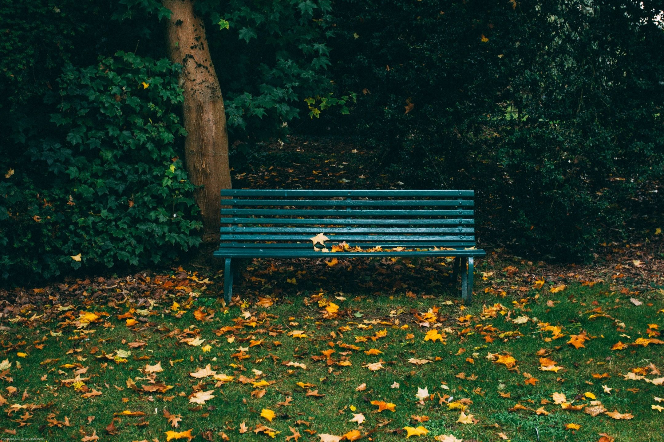 park photo